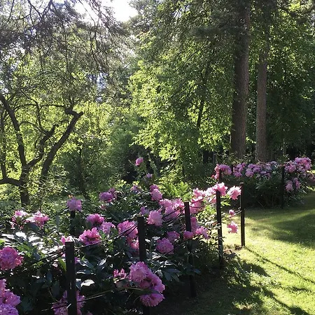 Hunajakoto * Jokioinen
